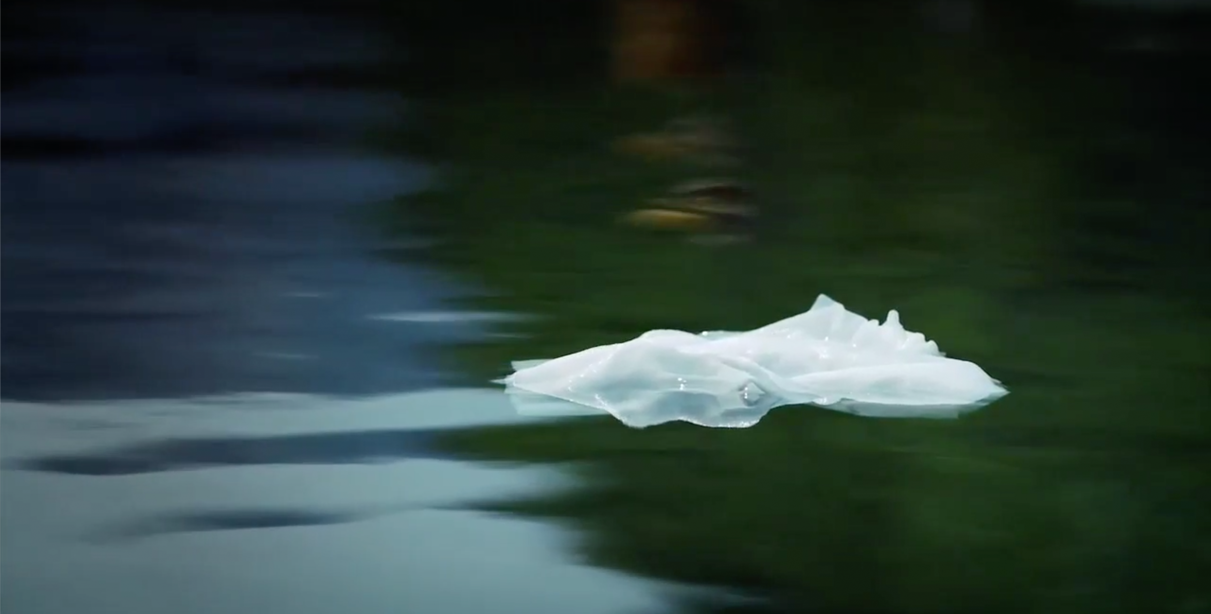 Wohin nach Gebrauch mit dem Feucht- oder Küchentuch oder dem ollen Lappen? Ab in die Toilette, Spülung drücken und mit einem Schwall Wasser ist das Problem verschwunden. Wirklich? Kläranlagen-Betreiber sehen das völlig anders!