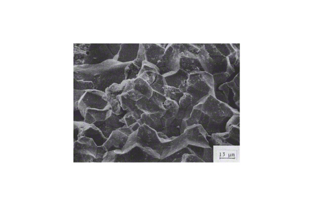 Fig. 1 Stress corrosion cracking: Fracture surface resulting from intergranular stress corrosion cracking (SEM picture)