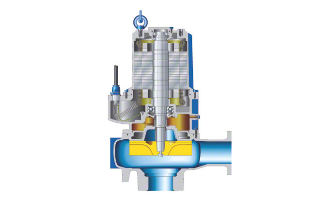 Fig. 1 Torque flow pump: Submersible motor pump with free-flow impeller