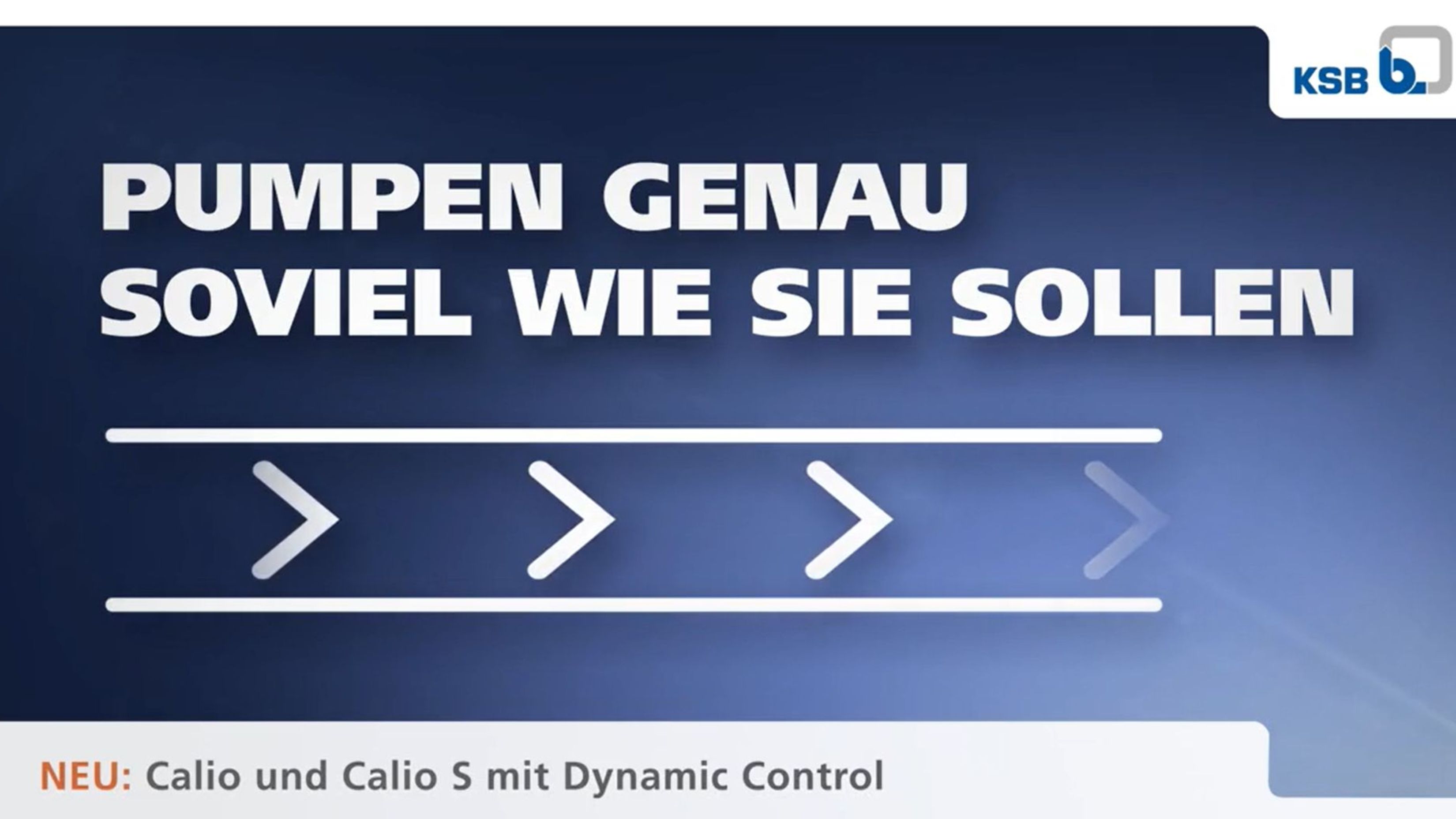 pic-Dynamic Control